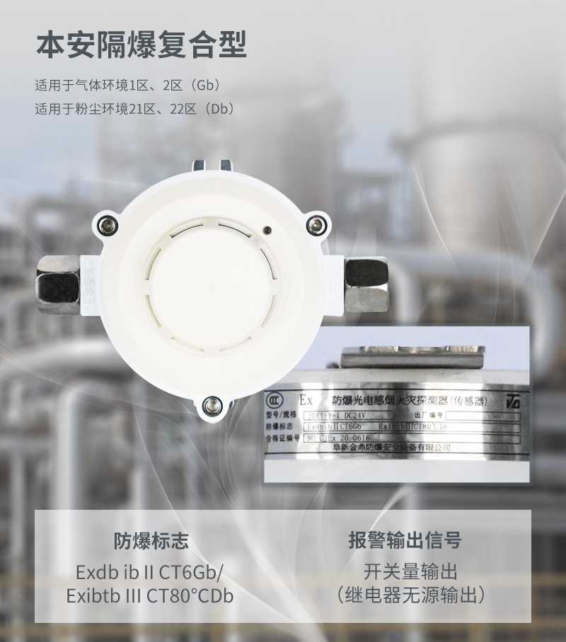 防爆标志字母含义