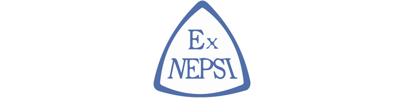 NEPSI