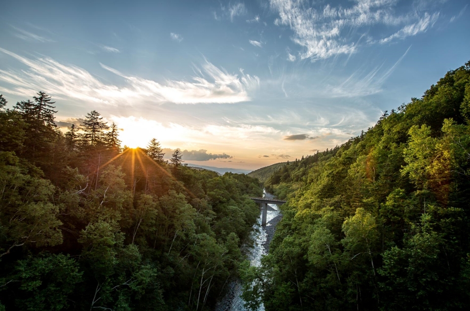 1712049662591047.png 截图.png