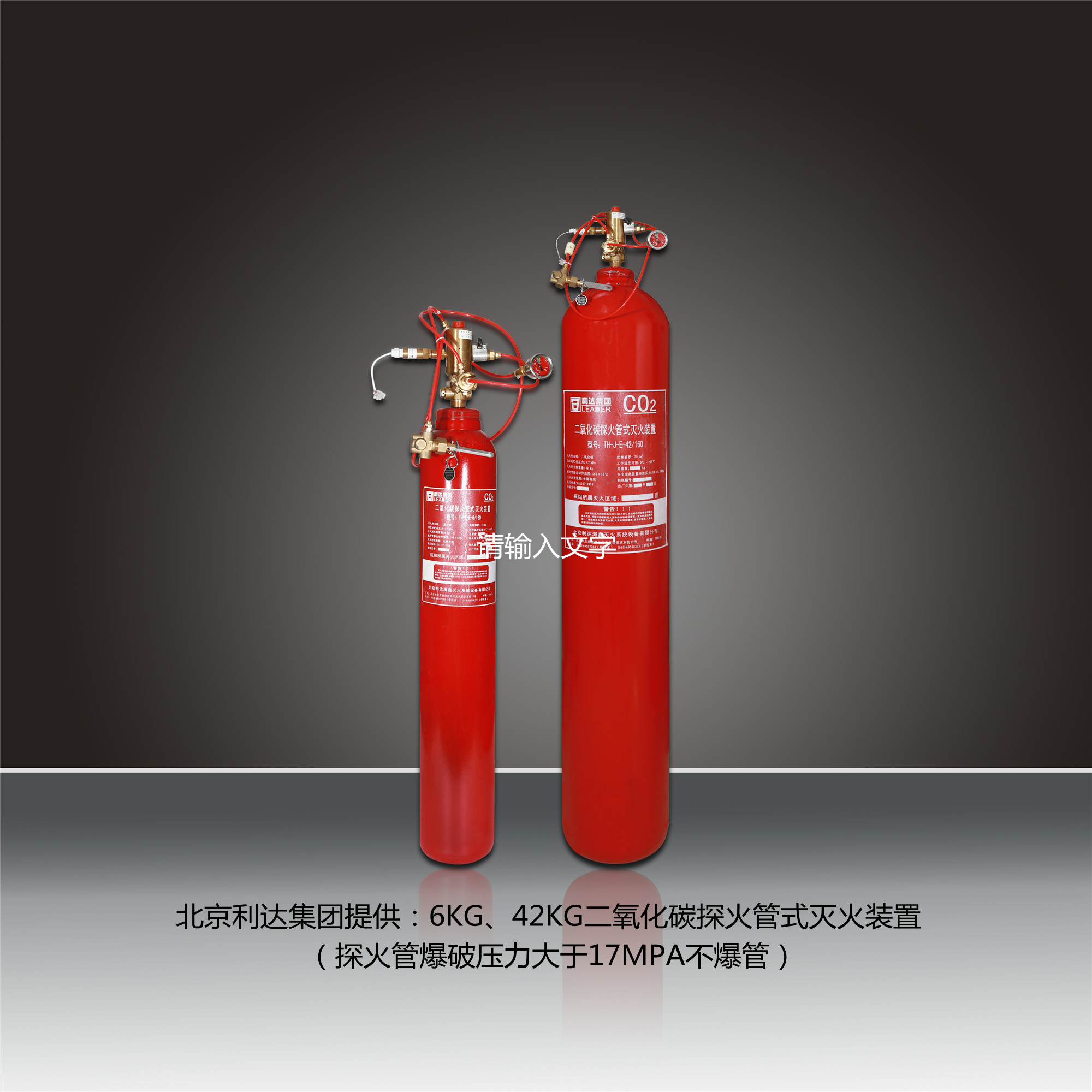 探火管式灭火装置国内外市场销售渠道与市场拓展调研报告