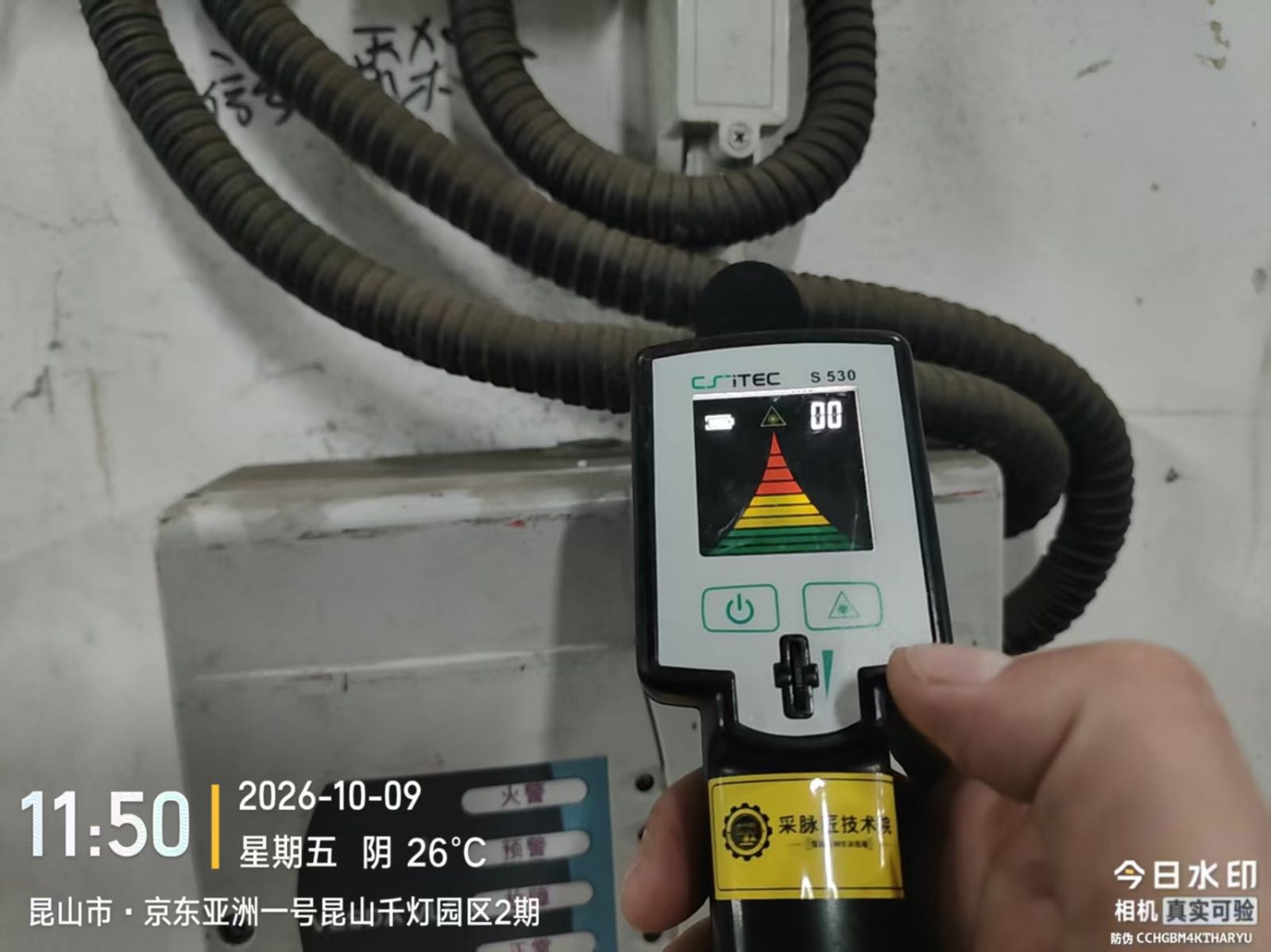 S530同点位实测，无信号检出